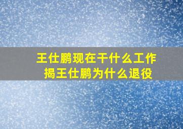 王仕鹏现在干什么工作 揭王仕鹏为什么退役